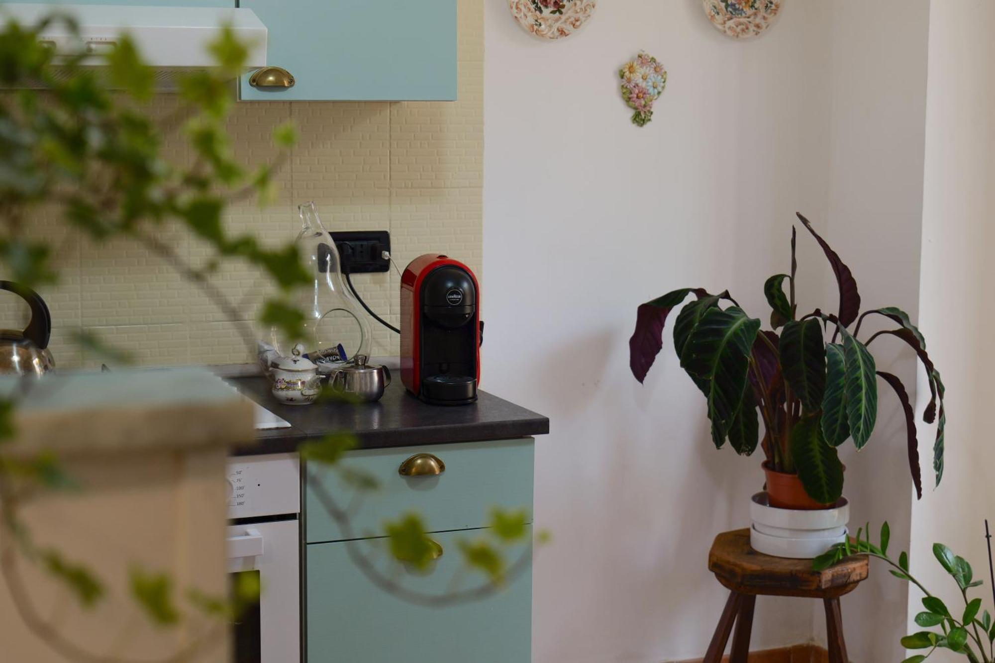 Coli'S House Bed and Breakfast Τορίνο Εξωτερικό φωτογραφία
