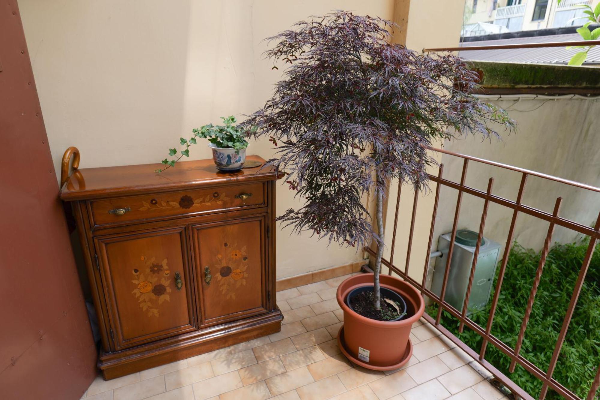 Coli'S House Bed and Breakfast Τορίνο Εξωτερικό φωτογραφία